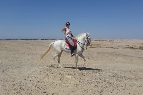 Disfrute de un paseo a caballo de una hora en el desierto y traslado / Hurghada