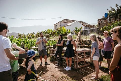 Meer dan alleen bananen: een duurzame permacultuurtour op Tenerife