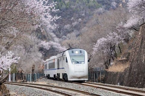 Resa till Peking Badaling Kinesiska muren med Bullet Train