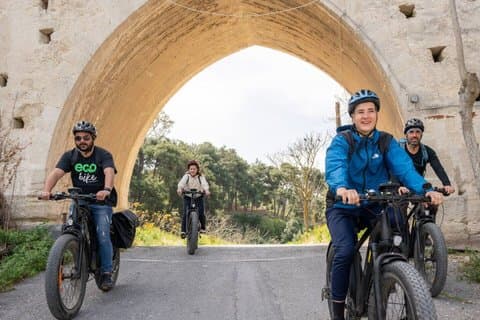 Tour en bicicleta eléctrica - Degustación de vinos de la granja de aceite de oliva de Knossos