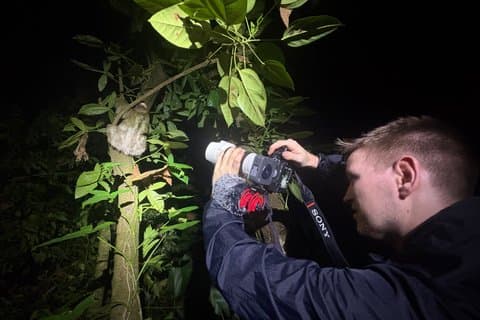 Aventure nocturne dans la forêt tropicale de Tortuguero