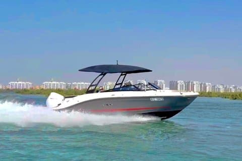 Abu Dabi : Tour Privado en Barco Rayos Marinos con Escapada a la Isla
