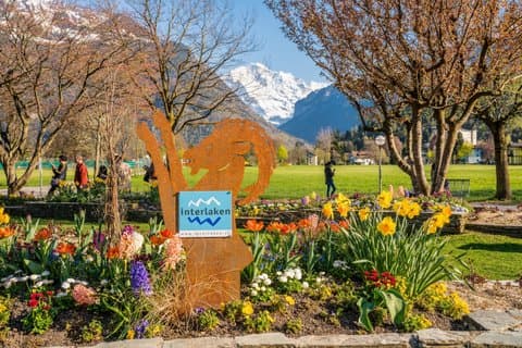 Private Tagestour nach Interlaken, Grindelwald & Lauterbrunnen