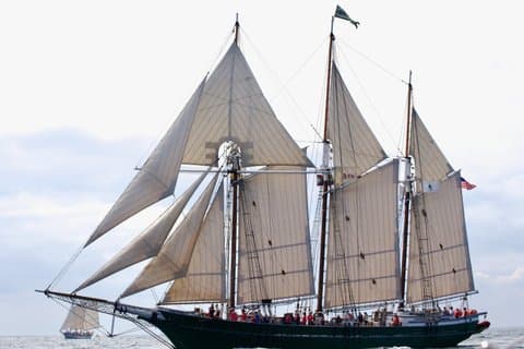 Navega por el puerto a bordo del barco alto Denis Sullivan