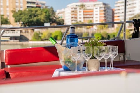 Alquiler de Barco Privado de 1 Hora por el Guadalquivir