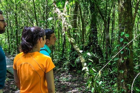 La Fortuna: Jantar com experiência no Rio Celeste e nas Termas