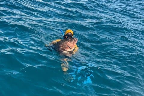 Mezza giornata di pesca subacquea privata sulla barriera corallina a Manuel Antonio