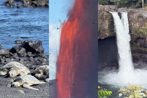 Big Island: Hawaii vulkaner, vattenfall och Hilo äventyr