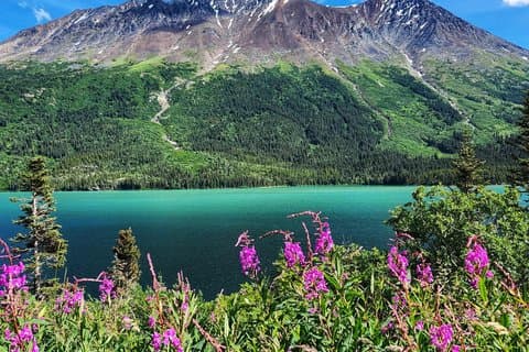 Private Skagway Tour Custom Full Day Charter For Up To 20 People