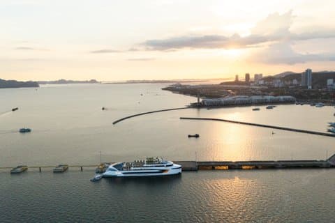 Dolphin Luxury Cruise : Expérience d'une journée dans la baie d'Ha Long depuis le port