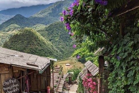 Da Sapa : Passeggiata panoramica Cat Village mezza giornata con Guida Locale