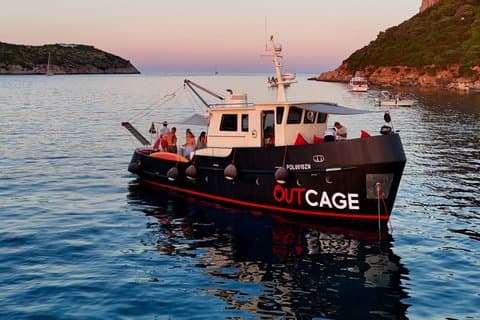 Sunset with dolphins on a vintage tugboat in Golfo Aranci