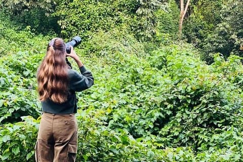 Aventure d'une journée dans la forêt de Nyungwe, promenade dans la canopée et tyrolienne.