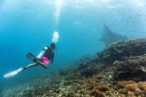 Fra Semporna Si Amil Island Dykking eller snorkling dagstur