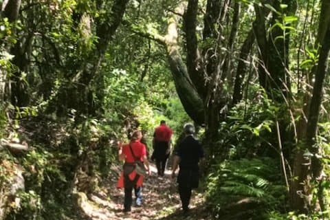Naturpromenad och osttillverkningsworkshop i Barbagia