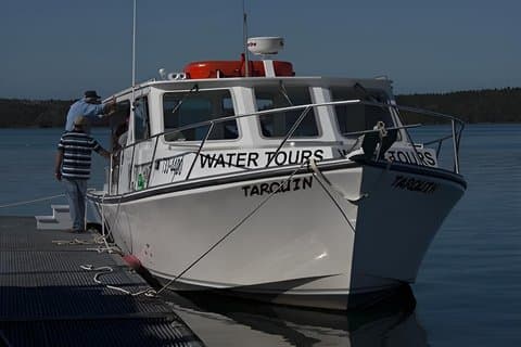 Oude Zaai Whirlpool en Walvis Tours