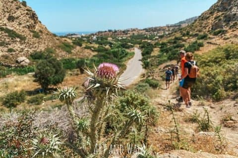 Karpathos Valley Walk in Pigadia - gemakkelijke begeleide wandeltocht
