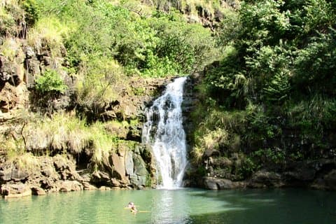 Oahu North Shore Experience: Waimea Waterfall & Beach Time