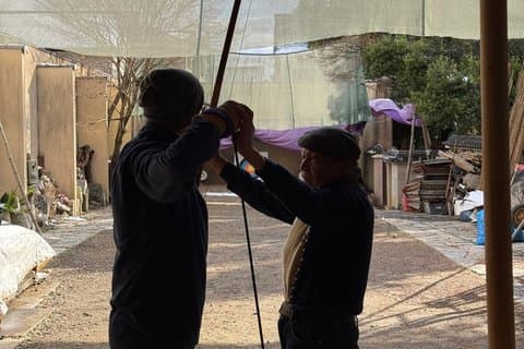 Visita ao Templo do Tesouro Nacional de Quioto e experiência de tiro com arco Japonês