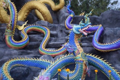 L'Âme des Dragons : Croyance, Rituel & Signification (Bangkok)
