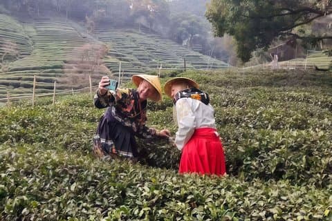 Excursion d'une journée classique à Hangzhou au départ de Shanghai en Bullet Train