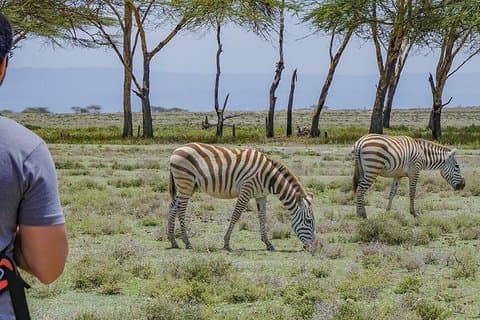Nairobi till Crescent Island Walking Safari och Lake Naivasha