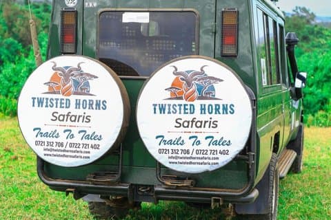 Aventuras de Safari personalizadas no Quênia Maasai Mara e mais