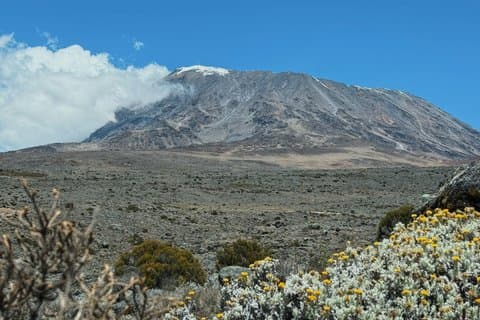 Ruta del Whisky por la Ruta del Machame