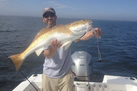 Pensacola Beach dybhavsfiskeri charter – 5 - Hour Gulf Adventure
