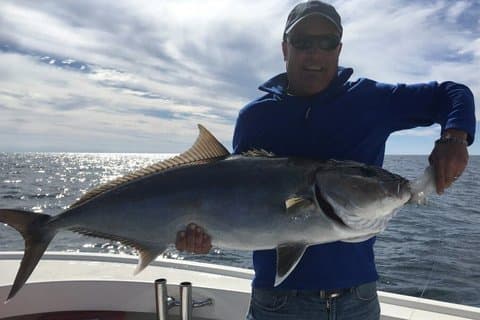 Hoteller i nærheden af Pensacola Beach 4 - Hour Inshore Fishing Charter Adventure