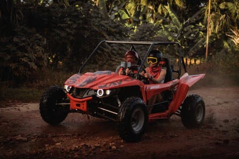 Punta Cana : tour notturno in carrozza con Cenote Swim & Dinner Combo