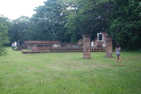 Jodensavanne Tour in Paramaribo