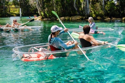 Clear Kayak Three Sisters Springs guidet sommer svømmetur