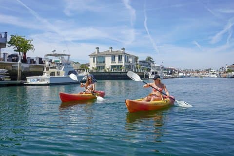Visite guidée en kayak du port de Huntington