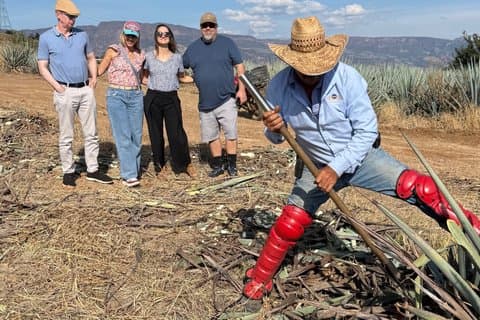 職人技によるテキーラ製造ツアー、リュウゼツランの収穫、そしてメキシコのダンス