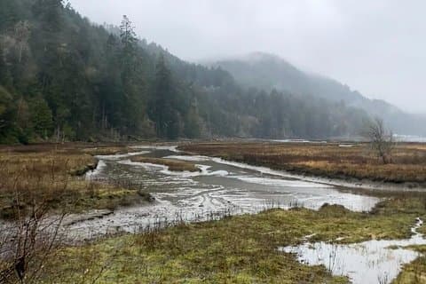 Goldstream & Mt. Finlayson Guided Hike – Summit Views & Waterfall