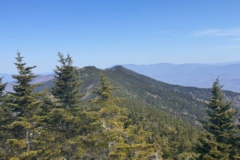Mt Mitchell Scenic Summit Tour