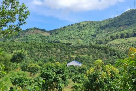 Nha Trang Mango Garden en Stream Retreat Privédagtrip