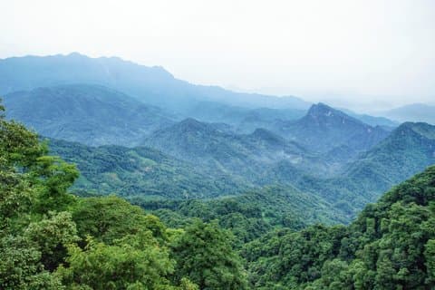 Privé Mt Qingcheng en Dujiangyan irrigatietour vanuit Chengdu