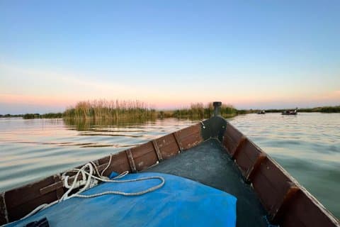 Privat tur til Albufera naturpark med båttur