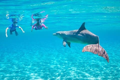 Hurghada : Dolphin House Snorkeling Cruise With Lunch & Transfer