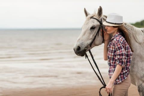 Guided Horseback Ride Through the Camargue