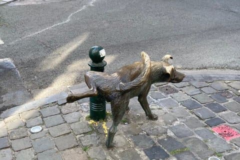 Explore Brussels Hidden Gems Self Guided Tour