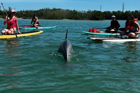 Port Canaveral Kayak Tour Dolfijnen en lamantijnen in de buurt van Cruise Port