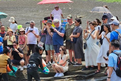 [Privat] Östra Jeju UNESCO & Sea Women : Välj EN Guide Nivå