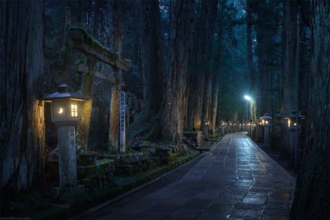 高野山奥の院ナイトツアー聖地巡礼体験