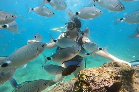 From Antalya/Kemer: Scuba Diving Tour with Lunch & Transfer