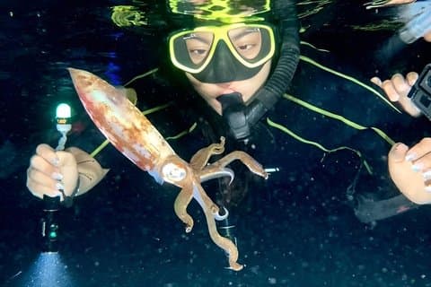 アンス・コーションでのセントルシアナイトシュノーケリング