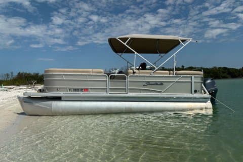 St. Pete Private Sandbar & Dolphin Watching Island Avventura