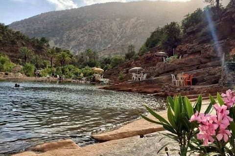 Tour di mezza giornata della Paradise Valley da Agadir con colazione berbera